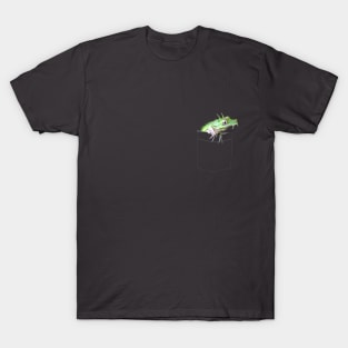 Pocket Dragon 01 T-Shirt